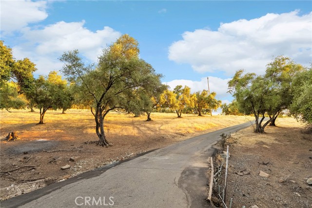 MLS #SN25224685 image #50