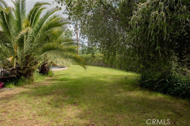 MLS #SN25224829 image #25