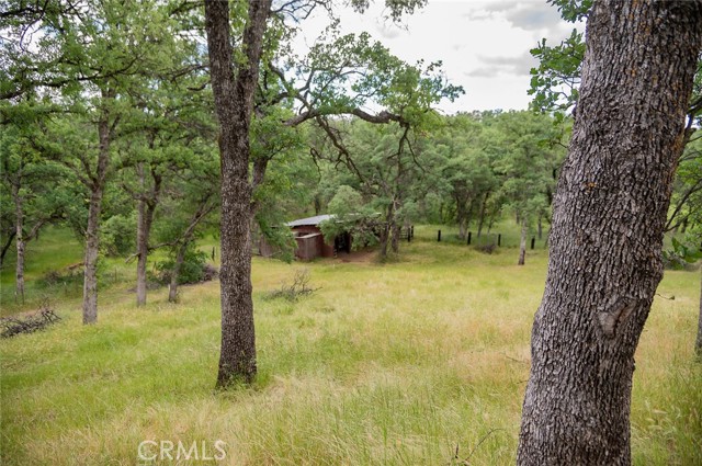 MLS #SN25224829 image #27