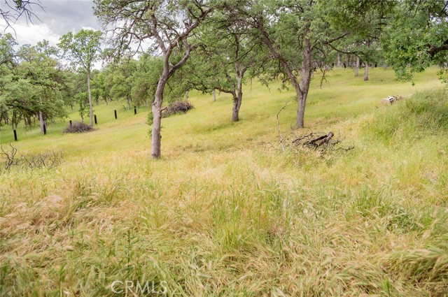 MLS #SN25224829 image #32