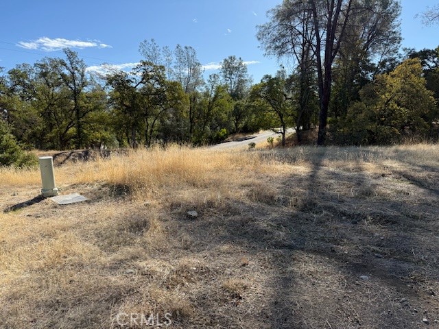 MLS #SN25224880 image #3