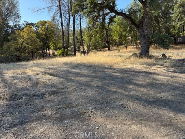 MLS #SN25224880 image #4