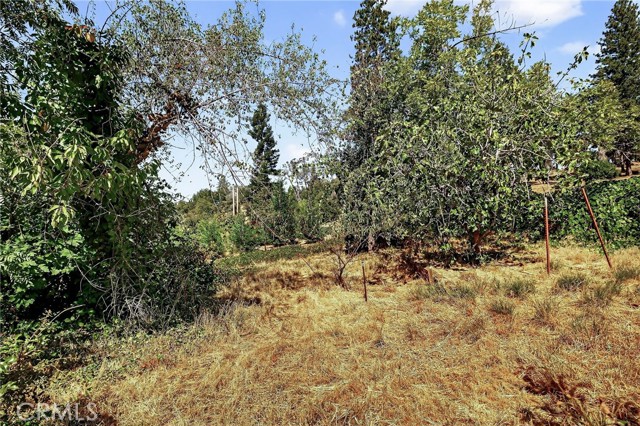 MLS #SN25225600 image #19