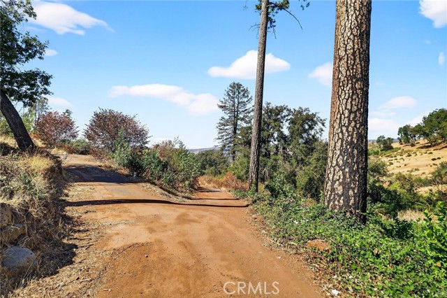 MLS #SN25225600 image #4