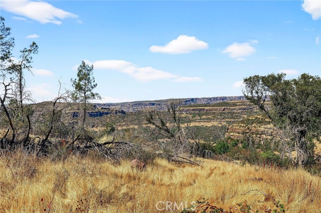 MLS #SN25225600 image #5