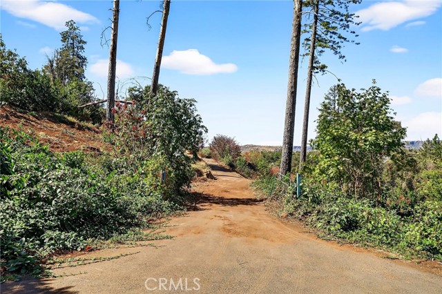 MLS #SN25225600 image #6