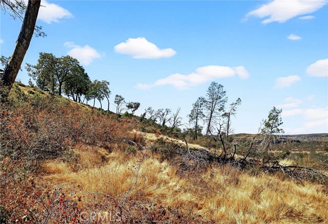 MLS #SN25225600 image #8