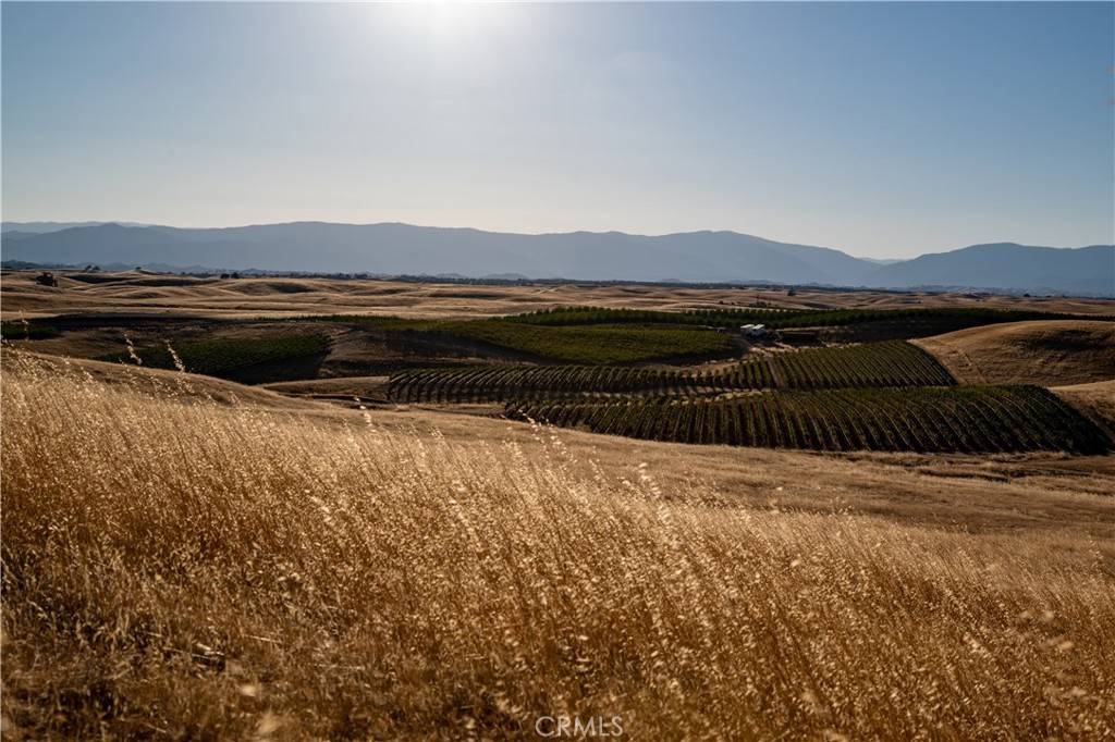 MLS #SN25225990 image #52