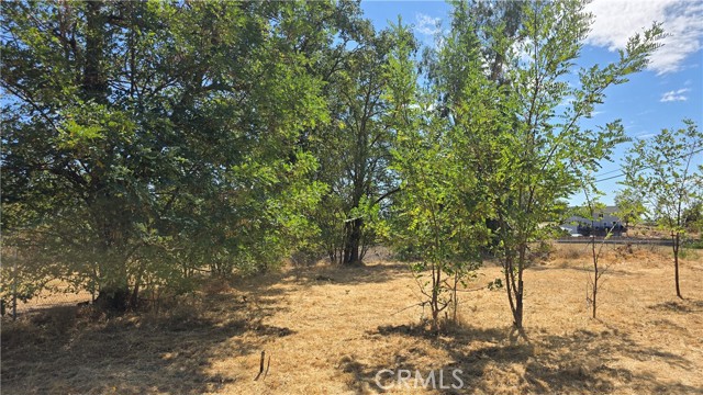 MLS #SN25227292 image #4