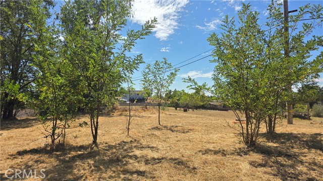 MLS #SN25227292 image #5