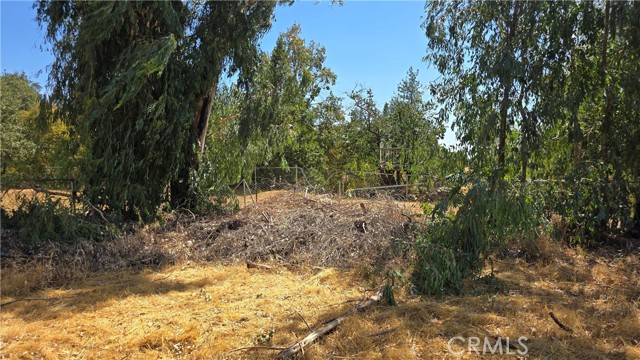 MLS #SN25227292 image #6