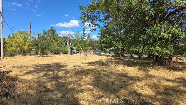 MLS #SN25227292 image #8