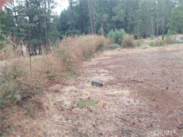 MLS #SN25228697 image #5