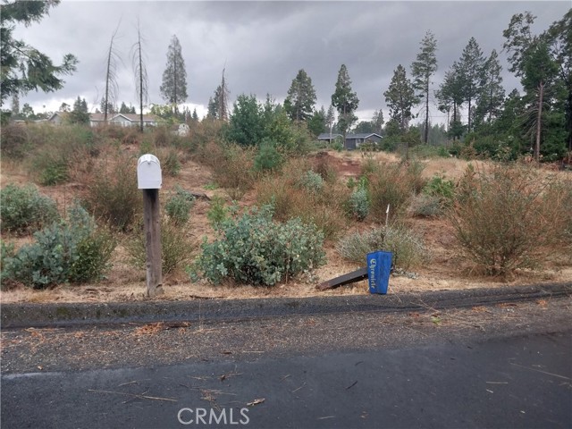 MLS #SN25228697 image #6