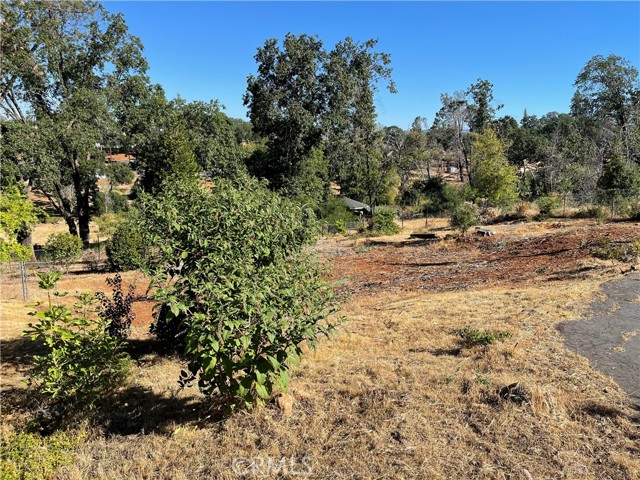 MLS #SN25229006 image #4