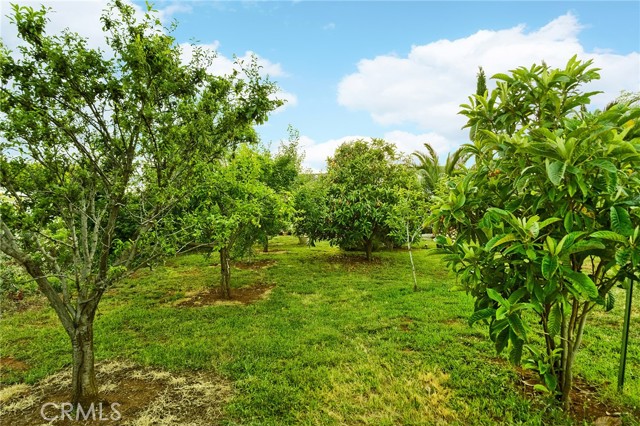 MLS #SN25229628 image #53