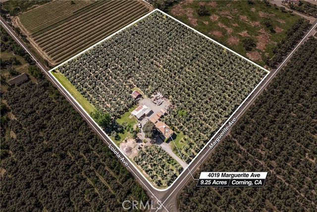 MLS #SN25229631 image #0