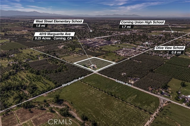 MLS #SN25229631 image #29