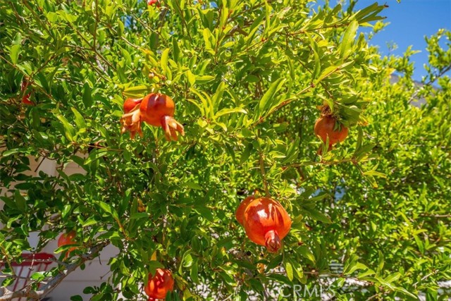 MLS #SN25229794 image #72