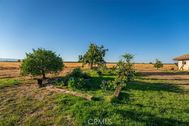 MLS #SN25230245 image #42