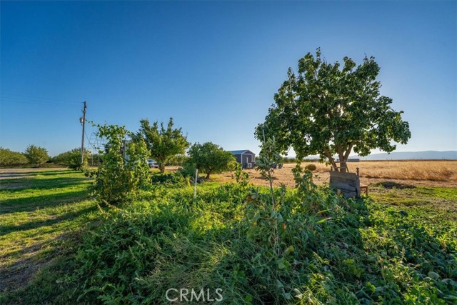 MLS #SN25230245 image #44