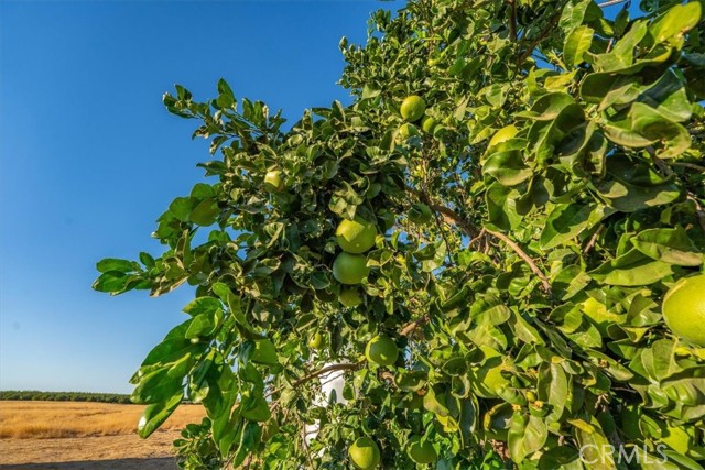 MLS #SN25230245 image #63