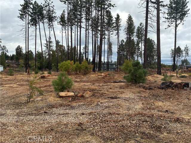 MLS #SN25230982 image #3