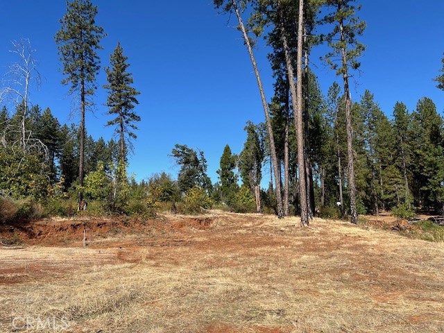 MLS #SN25230983 image #10