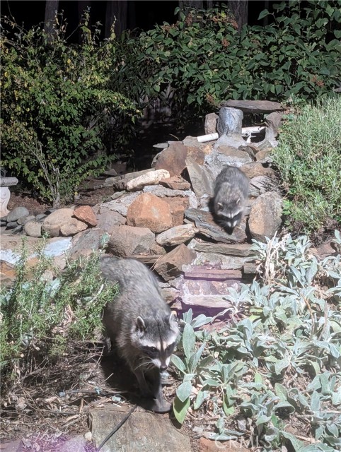 MLS #SN25232462 image #55