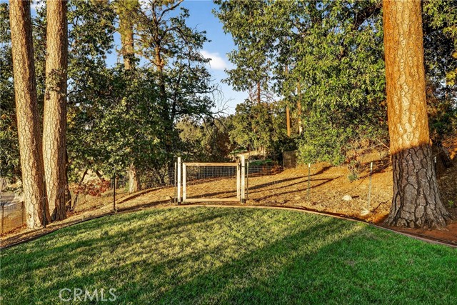 MLS #SN25235141 image #48