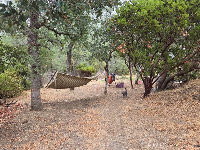 MLS #SN25235627 image #2