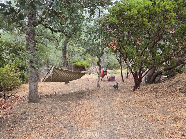 MLS #SN25235627 image #20