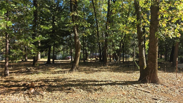 MLS #SN25235943 image #21