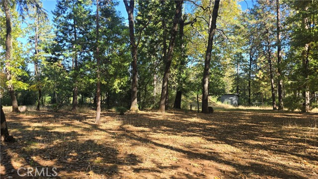 MLS #SN25235943 image #22