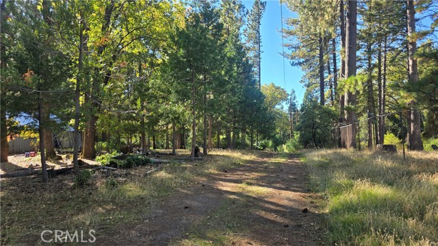 MLS #SN25235943 image #23