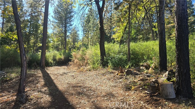 MLS #SN25235943 image #25