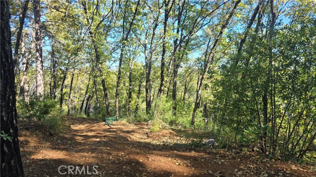 MLS #SN25235943 image #27