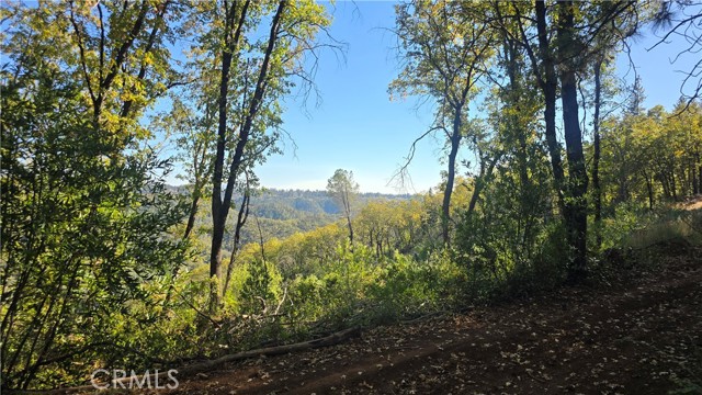 MLS #SN25235943 image #28