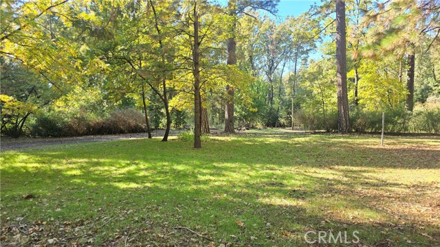 MLS #SN25235943 image #3