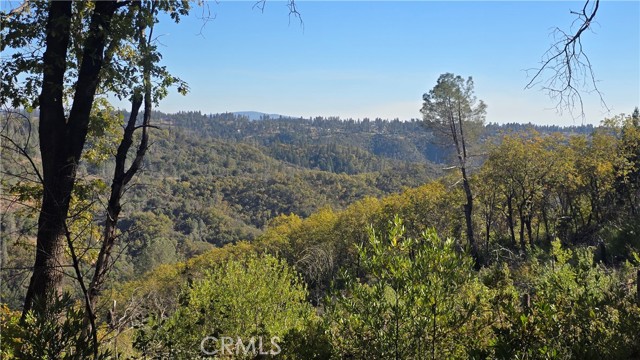 MLS #SN25235943 image #30