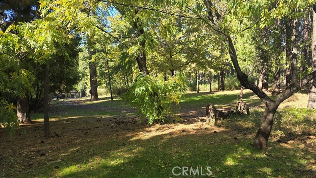 MLS #SN25235943 image #4