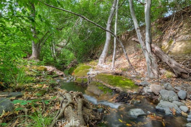 MLS #SN25236112 image #37