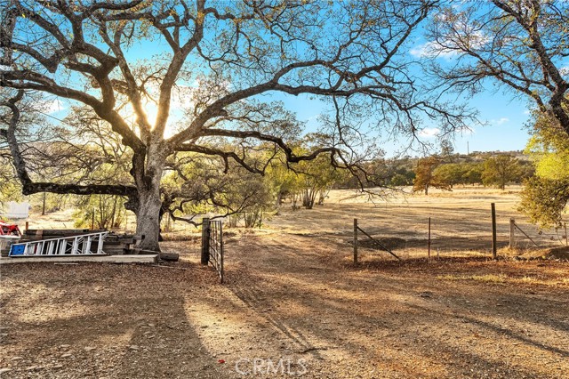 MLS #SN25236112 image #38