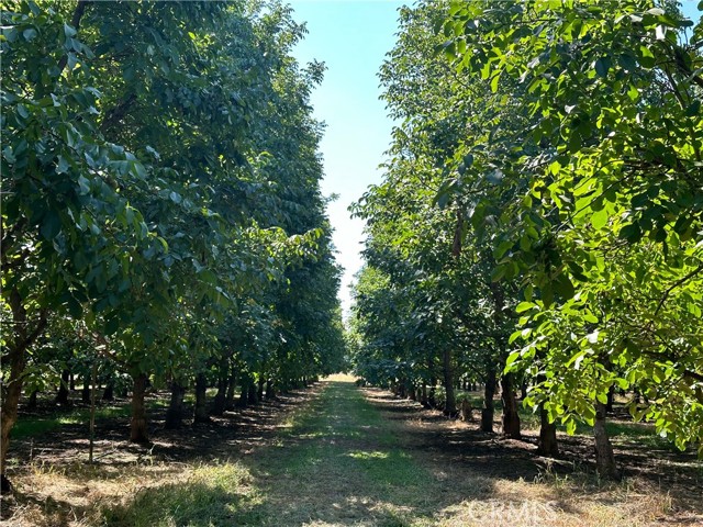 MLS #SN25236915 image #2