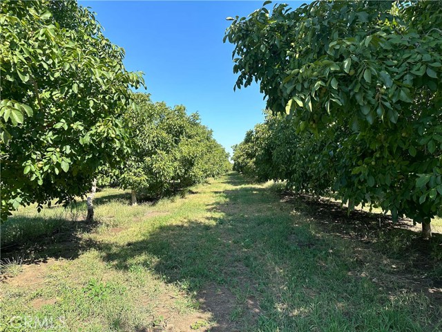 MLS #SN25236915 image #5