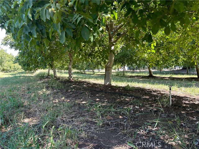 MLS #SN25236915 image #6