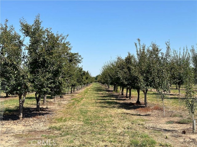 MLS #SN25236915 image #8