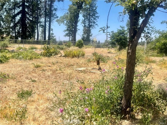 MLS #SN25236941 image #2