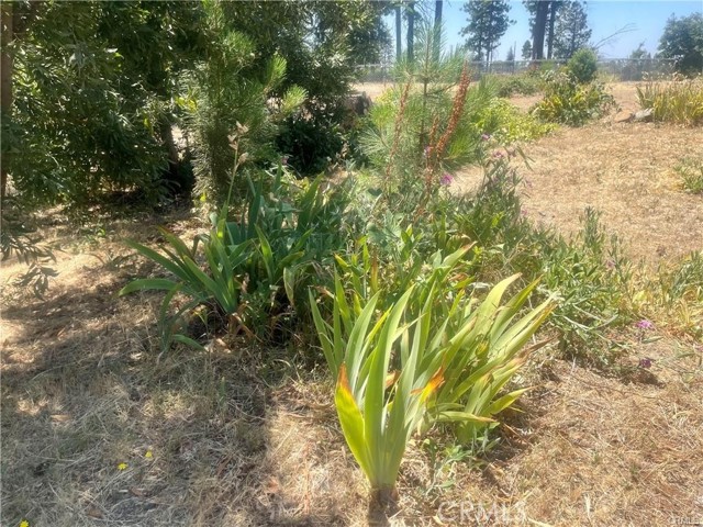 MLS #SN25236941 image #3