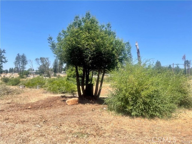 MLS #SN25236941 image #4